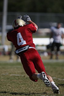 赛前速览：钻石联赛八强战费内巴切对阵莱比锡，三大看点值得期待